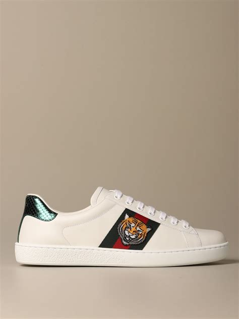 gucci scarpe tigre uomo|gucci sneaker bianco.